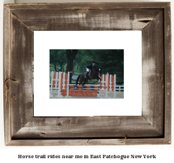 horse trail rides near me in East Patchogue, New York